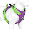 Picture of PHOEPET No Pull Dog Harness, Unique Colors Reflective Adjustable Dog Vest, with Soft Training Handle Metal Clips for Small Medium Large Dogs (Purple Base & Green Straps,XS)