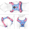 Picture of PHOEPET No Pull Dog Harness, Unique Colors Reflective Adjustable Dog Vest, with Soft Training Handle Metal Clips for Small Medium Large Dogs (Baby Blue Base & Pink Straps,L)