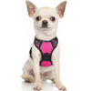 Picture of rabbitgoo Dog Harness, No-Pull Pet Harness with 2 Leash Clips, Adjustable Soft Padded Dog Vest, Reflective No-Choke Pet Oxford Vest with Easy Control Handle for Small Dogs, Hot Pink, XS