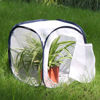 Picture of RESTCLOUD Insect and Butterfly Habitat Cage Terrarium Pop-up 12 X 12 X 12 Inches