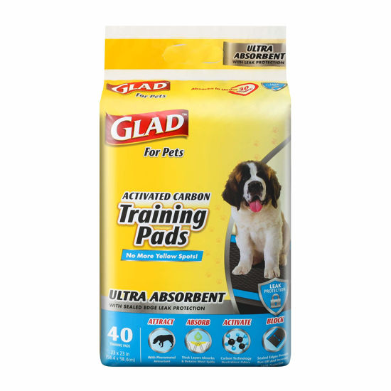 Pee pads that outlet attract dogs