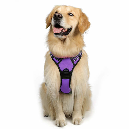 Picture of rabbitgoo Dog Harness, No-Pull Pet Harness with 2 Leash Clips, Adjustable Soft Padded Dog Vest, Reflective No-Choke Pet Oxford Vest with Easy Control Handle for Large Dogs, Purple, L