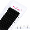 Picture of FADLASH Eyelash Extensions Easy Fan Volume Extensions Thickness 0.05 C/D Curl 4D 5D 6-10D Rapid Blooming Lashes Russian Volume Mink Lashes Artist Use(0.05-D, 15-20mm Mix)