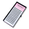 Picture of TDANCE Premade Spikes Eyelash Extension Supplies Thickness 0.07 C Curl 12mm Matte Black Eyelash Extensions Spikes Fans(Spikes,C-0.07,12mm)