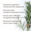 Picture of Plant Therapy Organic Rosemary Essential Oil 100% Pure, USDA Certified Organic, Undiluted, Natural Aromatherapy, Therapeutic Grade 10 mL (1/3 oz)