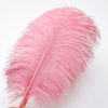 Picture of 24pcs Natural Lotus Pink Ostrich Feathers 10-12inch (25-30cm) for Wedding Party Centerpieces，Flower Arrangement and Home Decoration.