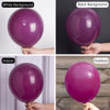 Picture of PartyWoo Retro Purple Balloons, 50 pcs 12 Inch Plum Balloons, Latex Balloons for Balloon Garland as Party Decorations, Birthday Decorations, Wedding Decorations, Baby Shower Decorations, Purple-F13