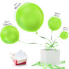 Picture of Freechase Lime Green Latex Balloons - Lime Green Party Balloons 139 Different Sizes 5/10/12/18 Inch, Lime Green Balloon Garland Kit for Birthdays, Graduation, Baby Shower, Wedding