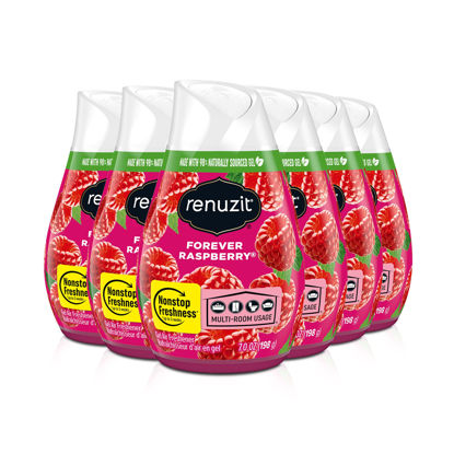 Picture of Renuzit Adjustable Air Freshener Gel, Forever Raspberry, 7 Ounces (6 Count)