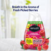 Picture of Renuzit Adjustable Air Freshener Gel, Forever Raspberry, 7 Ounces (6 Count)