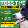 Picture of TropiClean Fresh Breath Original | Dog Oral Care Water Additive | Dog Breath Freshener Additive for Dental Health | VOHC Certified | Made in the USA | 33.8 oz.