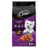 Picture of CESAR Small Breed Dry Dog Food Filet Mignon Flavor with Spring Vegetables Garnish, 2.7 lb. Bag