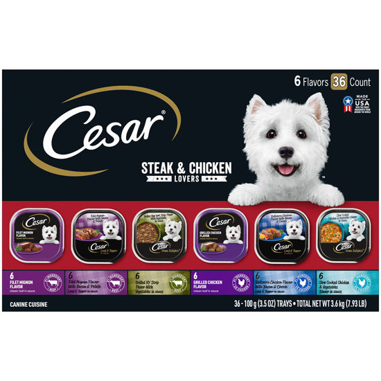 Cesar trays outlet