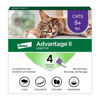 Picture of Advantage II Large Cat Vet-Recommended Flea Treatment & Prevention | Cats Over 9 lbs. | 4-Month Supply