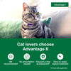 Picture of Advantage II Large Cat Vet-Recommended Flea Treatment & Prevention | Cats Over 9 lbs. | 4-Month Supply