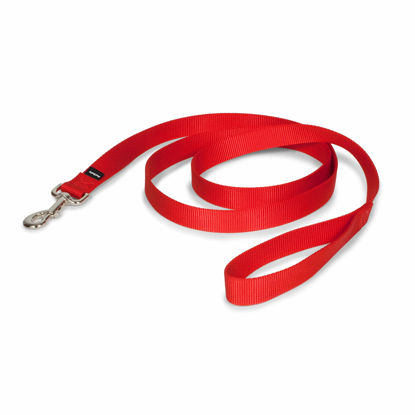 Picture of PetSafe Nylon Dog Leash - Strong, Durable, Traditional Style Leash with Easy to Use Bolt Snap - 1 in. x 6 ft., Red