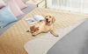 Picture of Ameritex Waterproof Dog Bed Cover Pet Blanket for Furniture Bed Couch Sofa Reversible