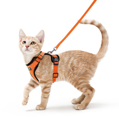 Picture of rabbitgoo Cat Harness and Leash for Walking, Escape Proof Soft Adjustable Vest Harnesses for Cats, Easy Control Breathable Reflective Strips Jacket, Orange, S