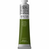 Picture of Winsor & Newton Winton Oil Color, 200ml (6.75-oz) Tube, Sap Green