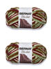 Picture of Bernat Blanket Plum Fields Yarn - 2 Pack of 300g/10.5oz - Polyester - 6 Super Bulky - 220 Yards - Knitting/Crochet