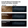 Picture of L'Oreal Paris Feria Multi-Faceted Shimmering Permanent Hair Color, 21 Starry Night, Pack of 2, Hair Dye