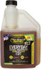 Picture of Hot Shot's Secret Everyday Diesel Treatment 16 Ounce Squeeze Bottle (HSSEDT16ZS)