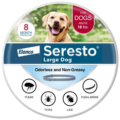 Picture of Seresto Large Dog Vet-Recommended Flea & Tick Treatment & Prevention Collar for Dogs Over 18 lbs. | 8 Months Protection