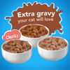 Picture of Purina Friskies Gravy Wet Cat Food Variety Pack, YUMbelievaBOX YUM-azing Extra Gravy Chunky - (40) 5.5 oz. Pull-Top Cans