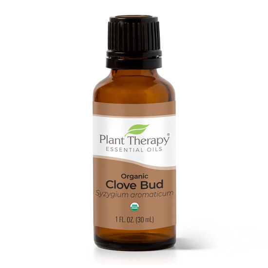 Picture of Plant Therapy Organic Clove Bud Essential Oil 100% Pure, USDA Certified Organic, Undiluted, Natural Aromatherapy, Therapeutic Grade 30 mL (1 oz)