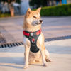 Picture of PHOEPET No Pull Dog Harness, Unique Colors Reflective Adjustable Dog Vest, with Soft Training Handle Metal Clips for Small Medium Large Dogs (Black Base & Red Straps,M)