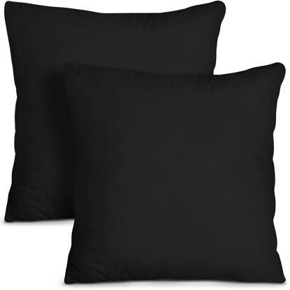 Picture of Utopia Bedding Throw Pillows Insert (Pack of 2, Black) - 24 x 24 Inches Bed and Couch Pillows - Indoor Decorative Pillows