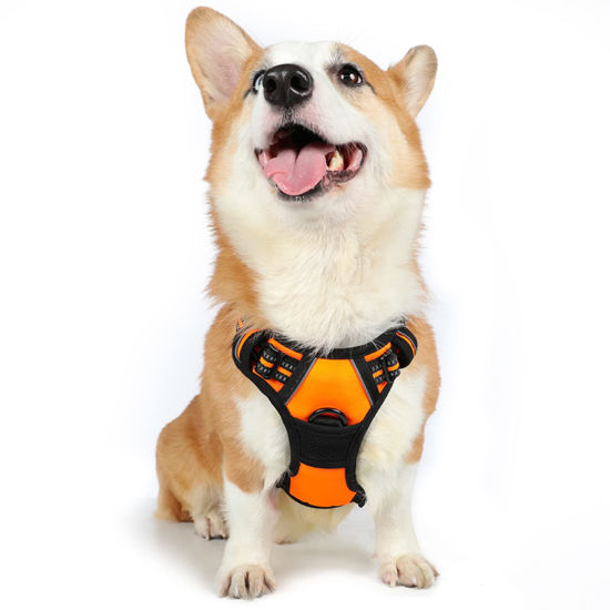 Picture of rabbitgoo Dog Harness,No-Pull Pet Harness with 2 Leash Clips,Adjustable Soft Padded Dog Vest,Reflective No-Choke Pet Oxford Vest with Easy Control Handle for Medium Dogs,Orange (M, Chest 19.1-29.3")