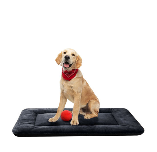 Dog bed for shop 36 inch crate