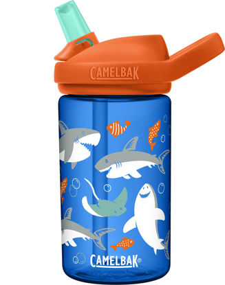 Flow 32oz Insulated Water Bottle with Straw Lid  Double Wall Vacuum  Insulated Stainless Steel Water Bottles, BPA-Free and Leak-Proof, Wide  Mouth Flask with Bite Straw and Handle (Seashell) 