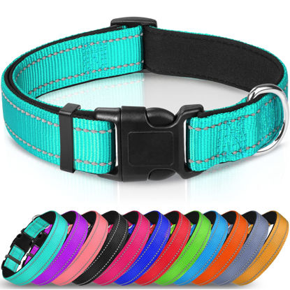 Picture of Joytale Reflective Dog Collar,Soft Neoprene Padded Breathable Nylon Pet Collar Adjustable for Puppy and Small Dogs,Teal,XS