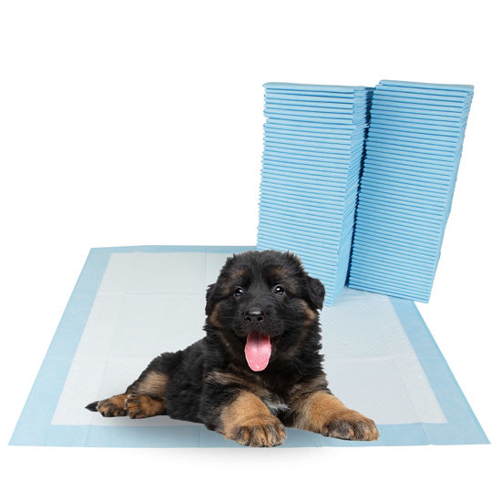 Training pee pads for 2024 dogs