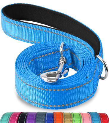 Picture of Joytale Double-Sided Reflective Dog Leash, 6 FT/5 FT/4 FT, Padded Handle Nylon Dogs Leashes for Medium & Large Dogs Walking, Sky Blue, 5FT