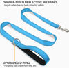 Picture of Joytale Double-Sided Reflective Dog Leash, 6 FT/5 FT/4 FT, Padded Handle Nylon Dogs Leashes for Medium & Large Dogs Walking, Sky Blue, 5FT