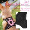 Picture of rabbitgoo Dog Harness, No-Pull Pet Harness with 2 Leash Clips, Adjustable Soft Padded Dog Vest, Reflective No-Choke Pet Oxford Vest with Easy Control Handle for Small Dogs, Pink,XS