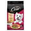 Picture of CESAR Small Breed Dry Dog Food Porterhouse Flavor and Spring Vegetables Garnish, 5 lb. Bag