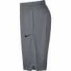 Picture of Nike Dri-FIT Icon, Men's basketball shorts, Athletic shorts with side pockets, Cool Grey/Cool Grey/Black, 3XL-T