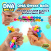 Picture of YoYa Toys DNA Balls - Fidget Stress Balls Set - 3 Pack - Colorful Jelly Beads and Squishy Rubber Balls - Squishies for Girls and Boys, and Adults - Sensory Toys for Autistic Children - Water Orbs Toys