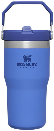  Stanley IceFlow Stainless Steel Water Jug with Straw, Vacuum  Insulated Water Bottle for Home and Office, Reusable Tumbler with Straw  Leakproof Flip, 17 ounces : Home & Kitchen