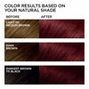 Picture of L'Oreal Paris Feria Multi-Faceted Shimmering Permanent Hair Color, R48 Red Velvet (Intense Deep Auburn), Pack of 1, Hair Dye