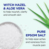 Picture of Dr Teal's Pure Epsom Salt Soak, Clarify & Smooth with Witch Hazel & Aloe Vera, 3 Pound (Pack of 4) (Packaging May Vary)