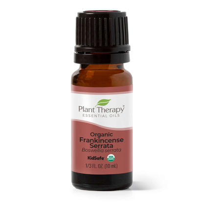 Picture of Plant Therapy Organic Frankincense Serrata Essential Oil 100% Pure, USDA Certified Organic, Undiluted, Natural Aromatherapy, Therapeutic Grade 10 mL (1/3 oz)