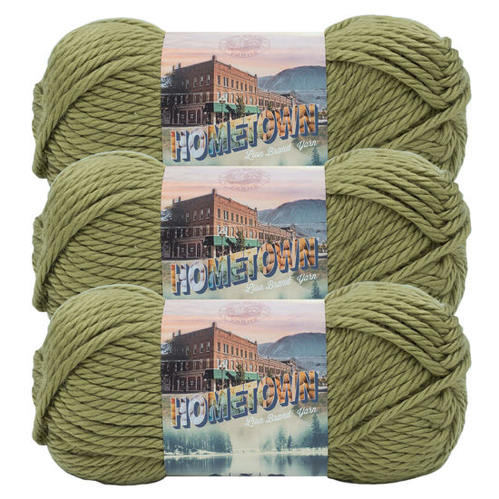 Lion Brand Yarn Hometown USA Bulky Yarn, 81 Yd.