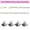 Picture of Individual Lashes 14-18mm 120pcs Cluster Lashes Mixed Tray Volume Eyelash Clusters DIY Lash Extension Kit Soft Lash Clusters Fluffy Mink Cluster Eyelash Extensions (02-0.07D, 14-18mm)