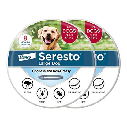 Picture of Seresto Large Dog Vet-Recommended Flea & Tick Treatment & Prevention Collar for Dogs Over 18 lbs. | 2-Pack