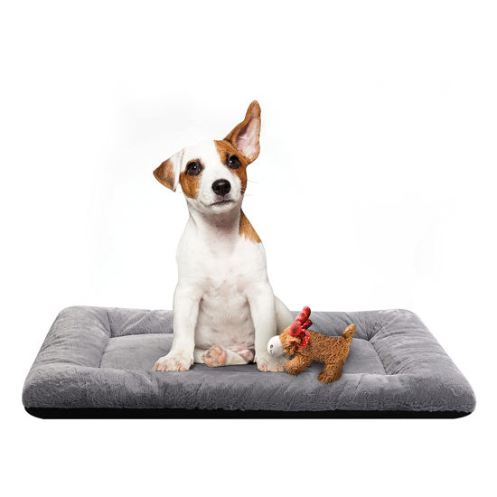 30 inch 2024 dog bed